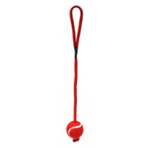 Tennis Ball on Rope Dog Toy My Pet